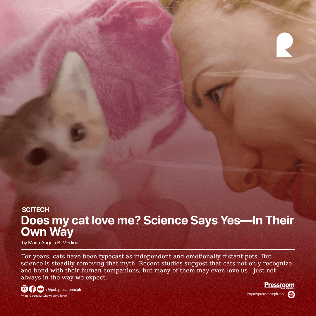 Does my cat love me? Science Says Yes—In Their Own Way