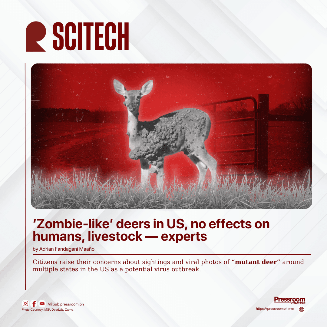 ‘Zombie-like’ deers in US, no effects on humans, livestock — experts