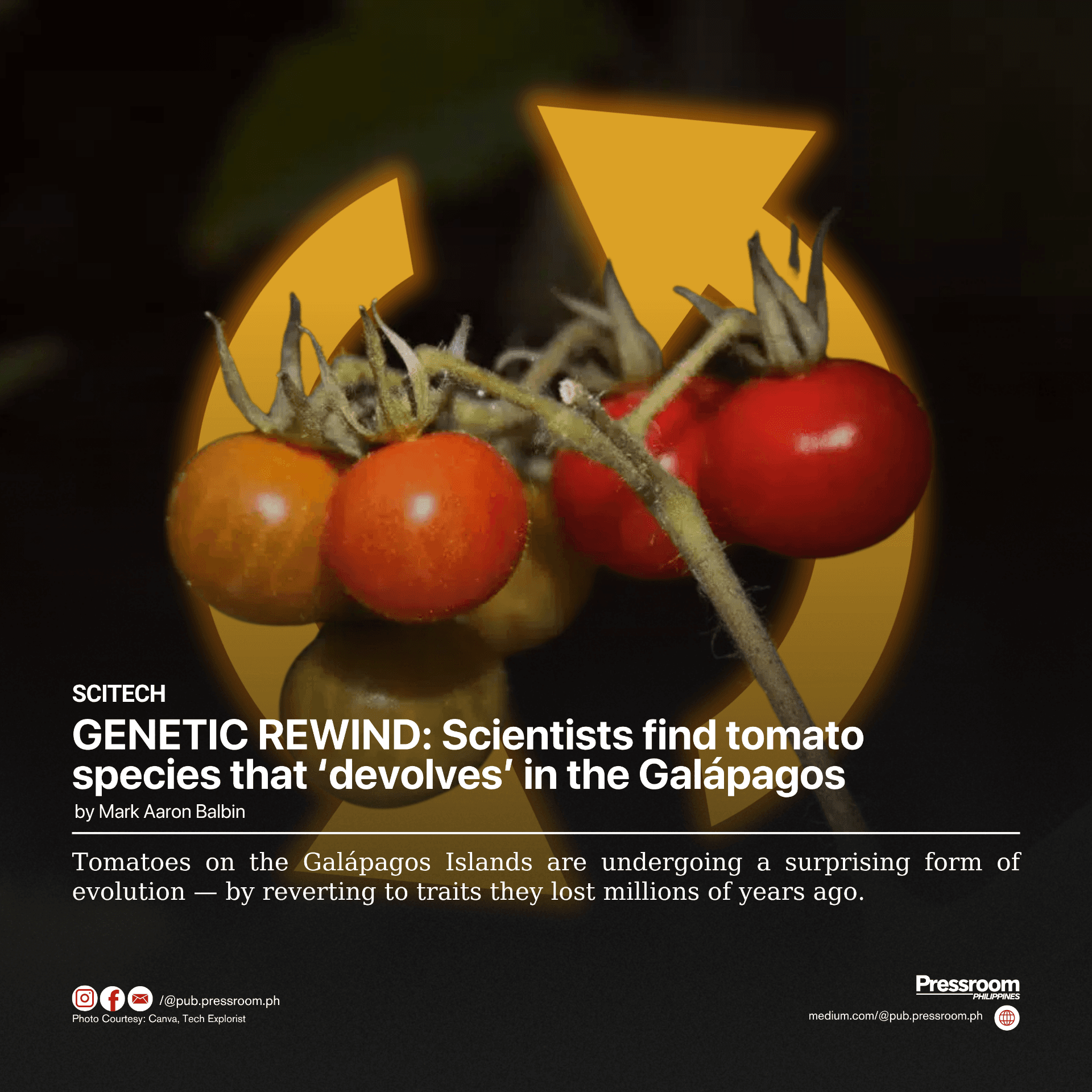 GENETIC REWIND: Scientists find tomato species that ‘devolves’ in the Galápagos