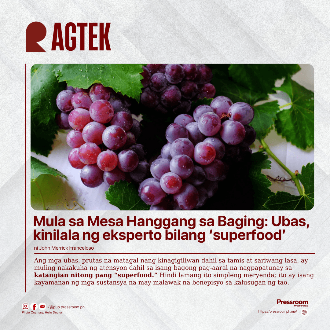 Mula Mesa Hanggang Baging: Ubas, kinilala ng eksperto bilang ‘superfood’
