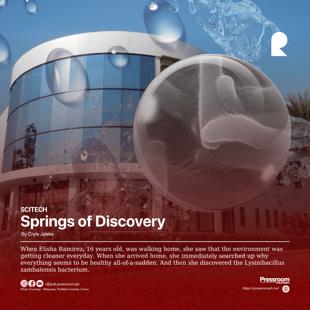 Springs of Discovery
