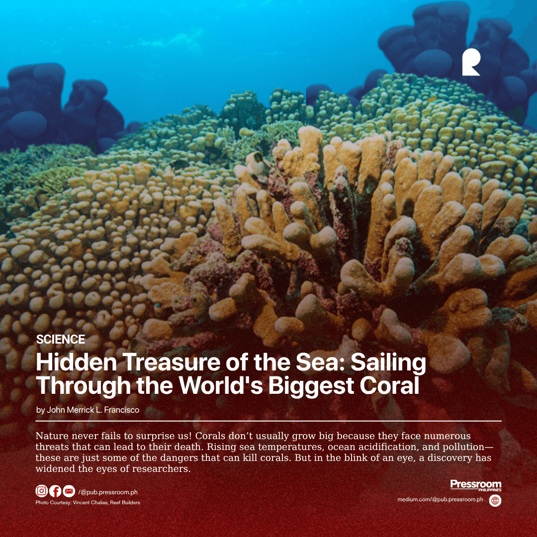 Hidden Treasure of the Sea: Sailing Through the World's Biggest Coral
