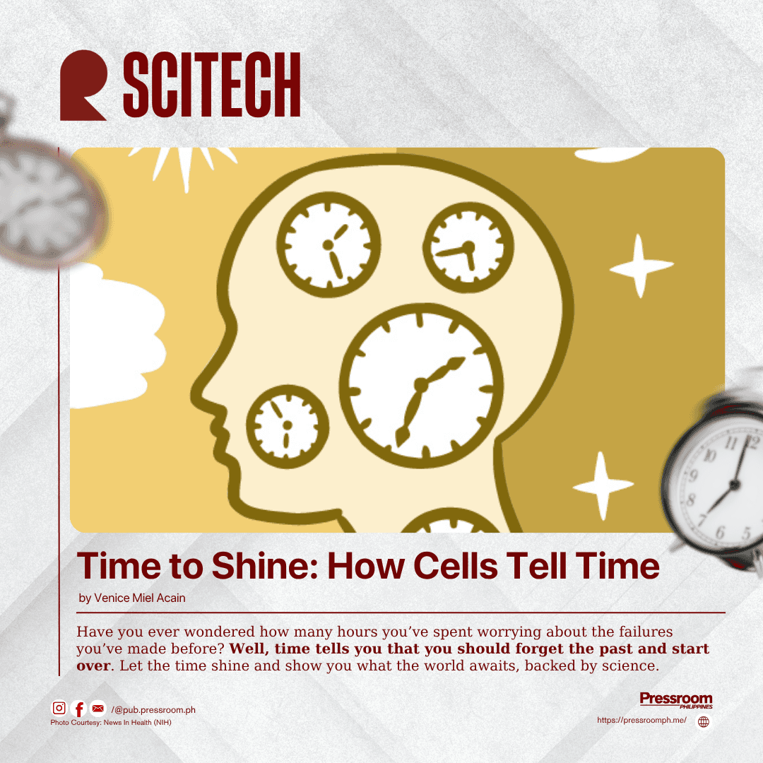 Time to Shine: How Cells Tell Time