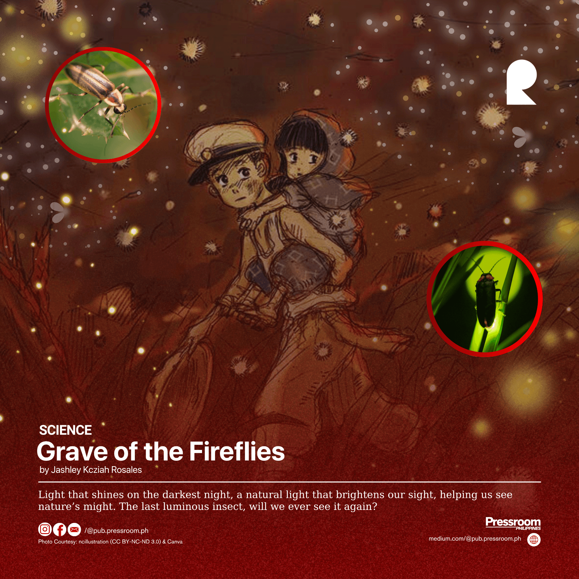 Grave of the Fireflies