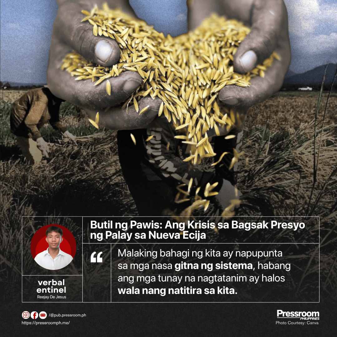 Butil ng Pawis: Ang Krisis sa Bagsak Presyo ng Palay sa Nueva Ecija